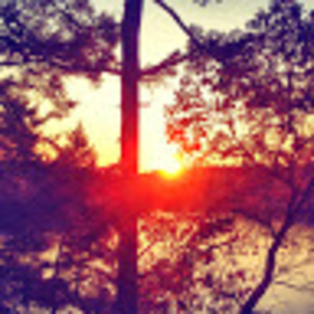 Meet your Posher, Marlie